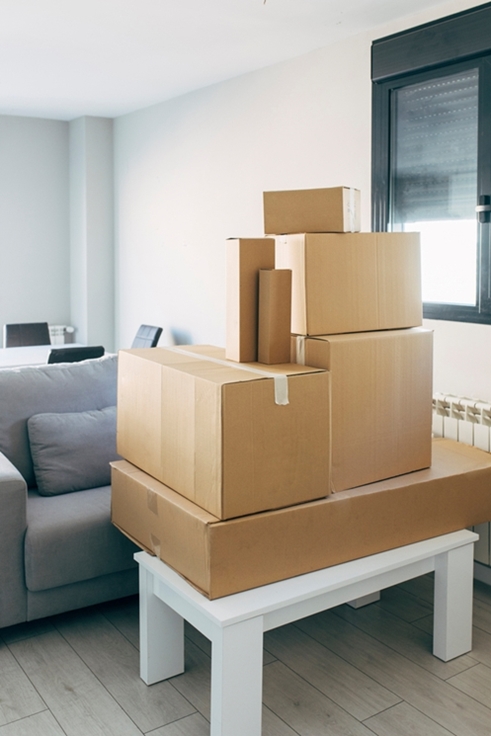 대전용달 PC 이미지 3272342